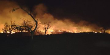 Flăcări de proporții la Valea Voievozilor! 5.000 mp de vegetație mistuiți în miez de noapte
