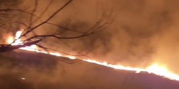 Incendiu de vegetație uscată în Titu, cartierul Plopu – pompierii intervin pe o suprafață de aproximativ 8.000 mp