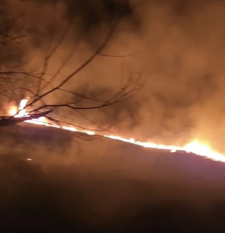 Incendiu de vegetație uscată în Titu, cartierul Plopu – pompierii intervin pe o suprafață de aproximativ 8.000 mp