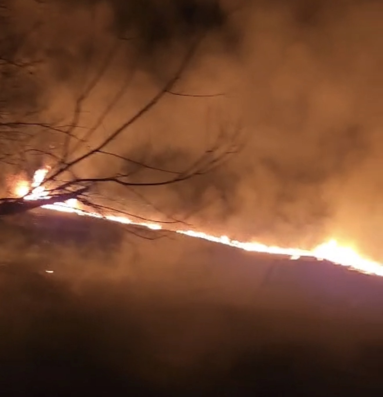 Incendiu de vegetație uscată în Titu, cartierul Plopu – pompierii intervin pe o suprafață de aproximativ 8.000 mp