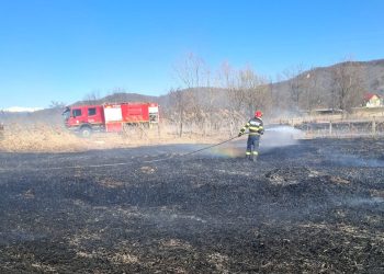 Un foc scăpat de sub control poate distruge tot: incendiu de vegetație la Voinești