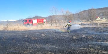 Un foc scăpat de sub control poate distruge tot: incendiu de vegetație la Voinești