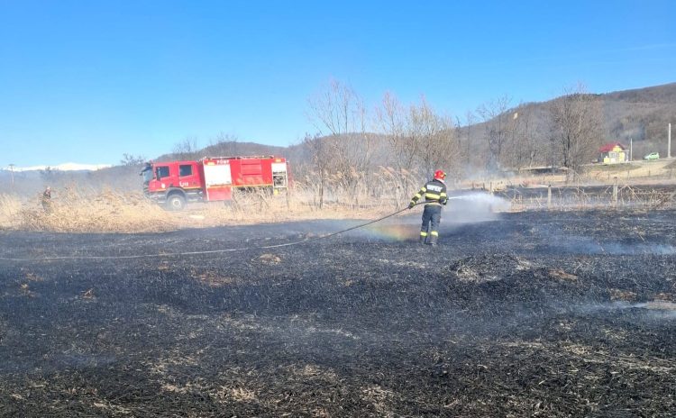 Un foc scăpat de sub control poate distruge tot: incendiu de vegetație la Voinești