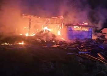 Incendiu devastator la Viișoara: 49 de animale au murit într-un adăpost cuprins de flăcări