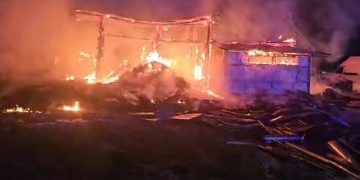 Incendiu devastator la Viișoara: 49 de animale au murit într-un adăpost cuprins de flăcări