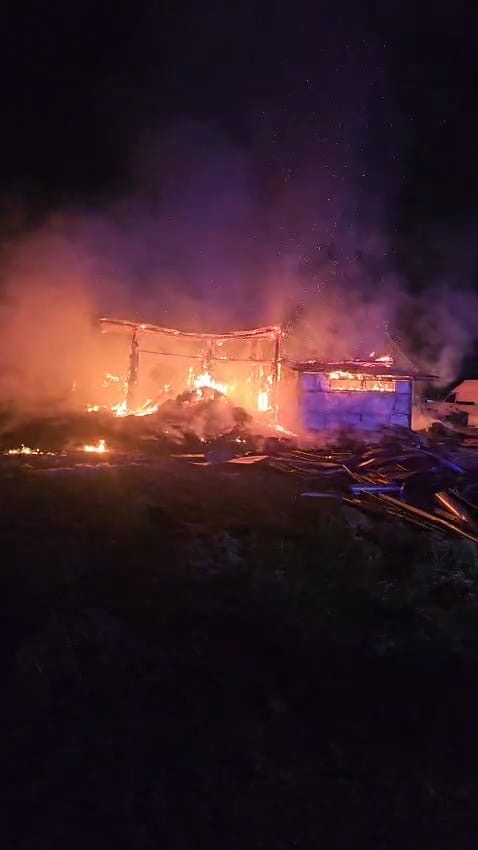 Incendiu devastator la Viișoara: 49 de animale au murit într-un adăpost cuprins de flăcări