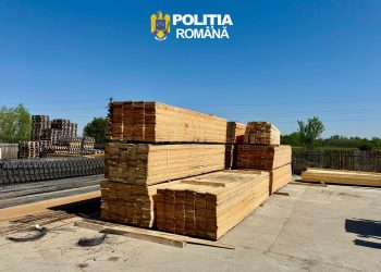 SCANDAL CU LEMNE LA ODOBEȘTI! Camion ticsit cu material ilegal, DEPISTAT în plină descărcare după un apel la 112!