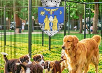 Sâmbătă, Parcul Chindia devine capitala iubitorilor de câini: show internațional și șansă la o nouă viață pentru câinii fără stăpân