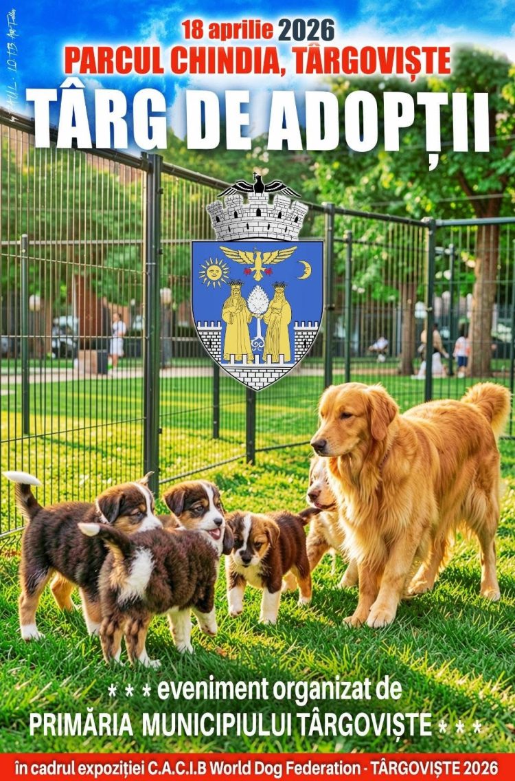 Sâmbătă, Parcul Chindia devine capitala iubitorilor de câini: show internațional și șansă la o nouă viață pentru câinii fără stăpân