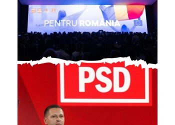 Corneliu Ștefan, Președintele PSD Dâmbovița și prim-vicepreședinte al PSD: „Nu votăm împotriva cuiva, votăm pentru România și pentru români!”
