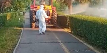 ANUNȚ: Prima campanie de dezinsecție pe domeniul public în Municipiul Târgoviște (23 aprilie – 8 mai 2026)