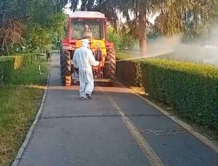 ANUNȚ: Prima campanie de dezinsecție pe domeniul public în Municipiul Târgoviște (23 aprilie – 8 mai 2026)