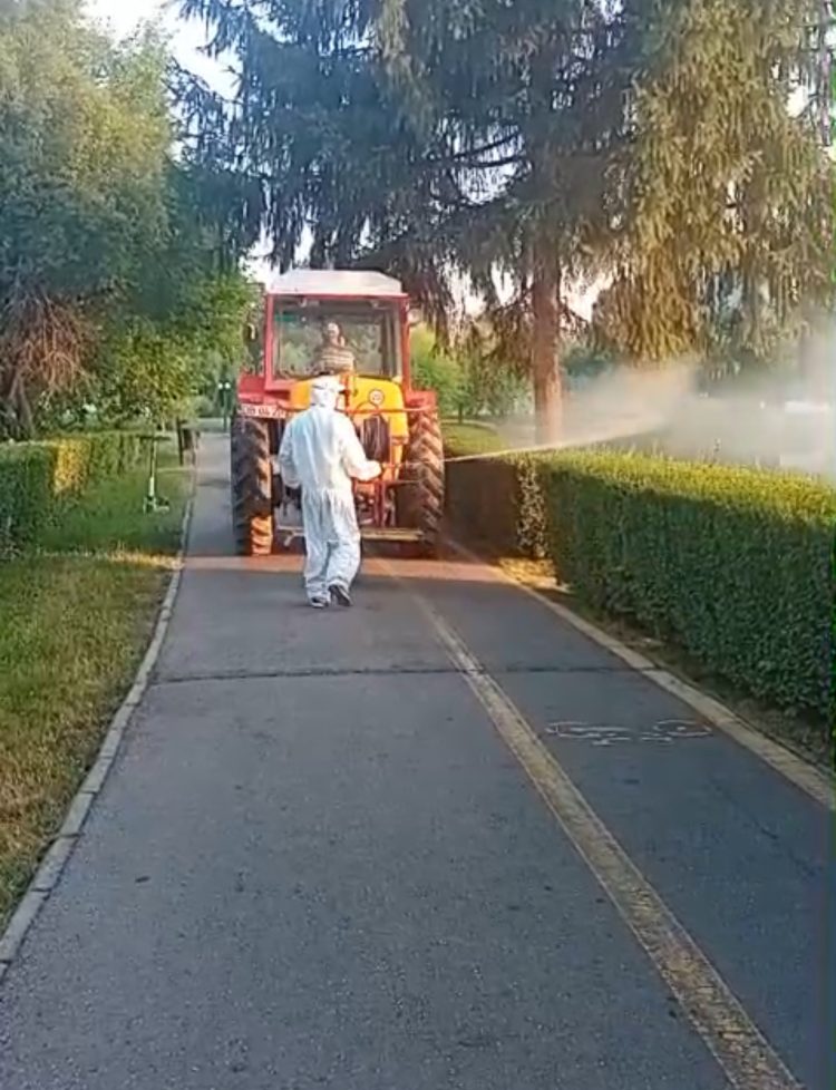 ANUNȚ: Prima campanie de dezinsecție pe domeniul public în Municipiul Târgoviște (23 aprilie – 8 mai 2026)