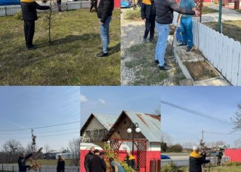 Crângurile Respiră: O Nouă Etapă în Transformarea Comunei într-o Oază Verde