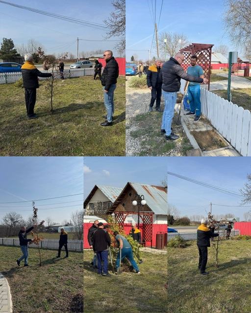 Crângurile Respiră: O Nouă Etapă în Transformarea Comunei într-o Oază Verde