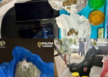 Lovitură de proporții în Dâmbovița: 19 percheziții și 5 traficanți reținuți după un an de monitorizare a pieței de droguri
