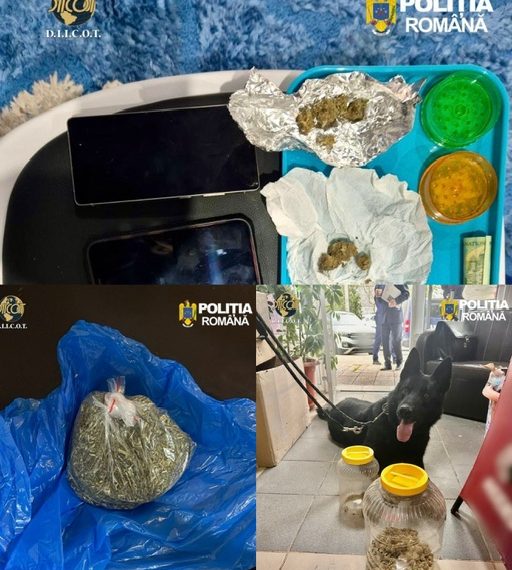 Lovitură de proporții în Dâmbovița: 19 percheziții și 5 traficanți reținuți după un an de monitorizare a pieței de droguri