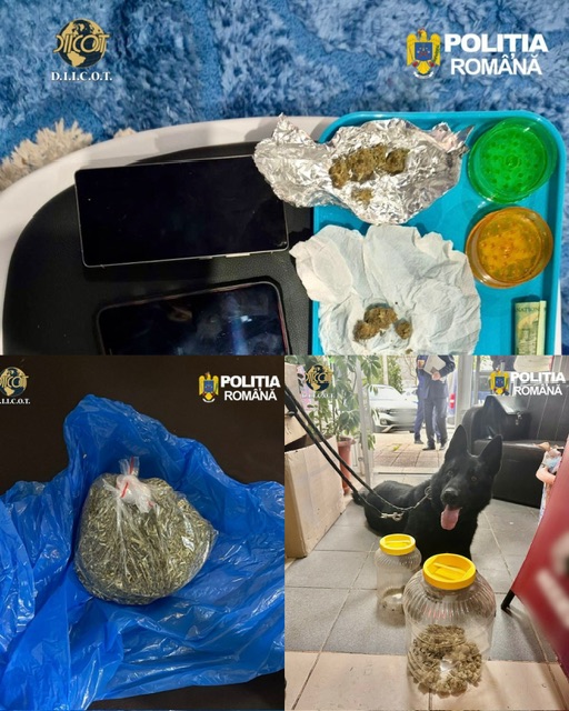 Lovitură de proporții în Dâmbovița: 19 percheziții și 5 traficanți reținuți după un an de monitorizare a pieței de droguri