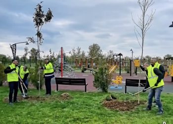 Acțiune de plantare în zona Complexului de Natație din Târgoviște. Aproximativ 300 de arbori, integrați într-un nou spațiu verde