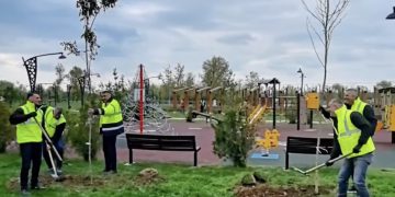 Acțiune de plantare în zona Complexului de Natație din Târgoviște. Aproximativ 300 de arbori, integrați într-un nou spațiu verde