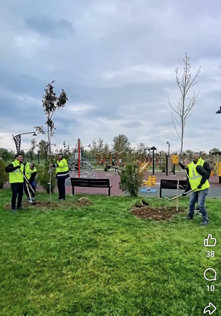 Acțiune de plantare în zona Complexului de Natație din Târgoviște. Aproximativ 300 de arbori, integrați într-un nou spațiu verde