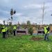 Acțiune de plantare în zona Complexului de Natație din Târgoviște. Aproximativ 300 de arbori, integrați într-un nou spațiu verde