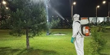 Primăria Târgoviște reia dezinsecția pe domeniul public: Programul acțiunilor din perioada 1-10 iunie 2026