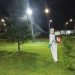 Primăria Târgoviște reia dezinsecția pe domeniul public: Programul acțiunilor din perioada 1-10 iunie 2026
