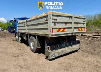 Dosar penal și marfă confiscată: Un șofer din Târgoviște a rămas fără 6 metri cubi de lemne din cauza aplicației SUMAL