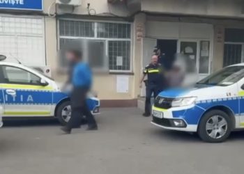 Operațiunea JUPITER în Dâmbovița: rețineri într-un dosar de tăieri ilegale și falsuri silvice