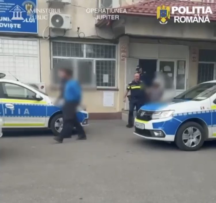 Operațiunea JUPITER în Dâmbovița: rețineri într-un dosar de tăieri ilegale și falsuri silvice