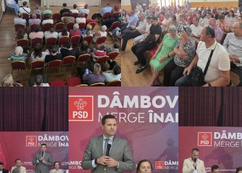 Cozmin-Petruț Stana, ales președinte al organizației PSD Doicești