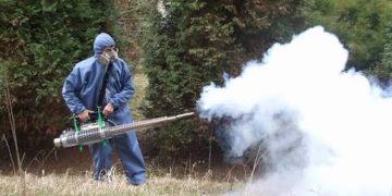 Primăria Butimanu anunță lucrări de dezinsecție în noaptea de 21 spre 22 iunie