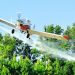 TÂRGOVIȘTE: ACȚIUNE DE COMBATERE A INSECTELOR PRIN PULVERIZARE AERIANĂ
