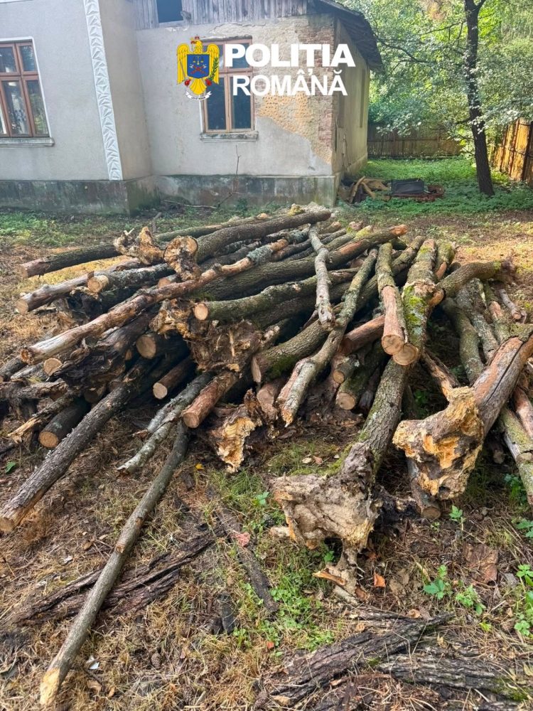 Transport ilegal de lemne, oprit de polițiști în Dâmbovița! Peste 2,6 metri cubi de material lemnos, confiscați