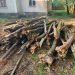 Transport ilegal de lemne, oprit de polițiști în Dâmbovița! Peste 2,6 metri cubi de material lemnos, confiscați