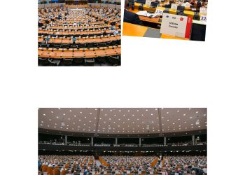 Președintele CJD Dâmbovița, Corneliu Ștefan, reprezintă județul la Bruxelles, în cadrul Comitetului European al Regiunilor