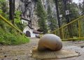 PEȘTERA IALOMIȚEI, DESTINAȚIA IDEALĂ ÎN ZILELE CANICULARE