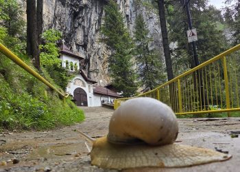 PEȘTERA IALOMIȚEI, DESTINAȚIA IDEALĂ ÎN ZILELE CANICULARE