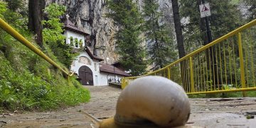 PEȘTERA IALOMIȚEI, DESTINAȚIA IDEALĂ ÎN ZILELE CANICULARE