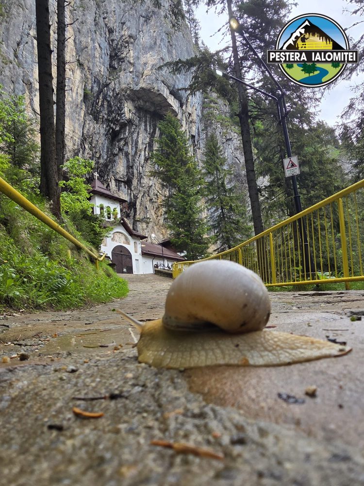 PEȘTERA IALOMIȚEI, DESTINAȚIA IDEALĂ ÎN ZILELE CANICULARE