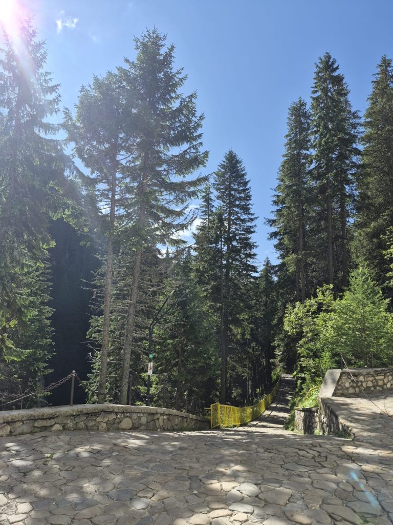 PEȘTERA IALOMIȚEI, DESTINAȚIA IDEALĂ ÎN ZILELE CANICULARE