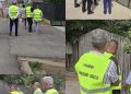 Primăria Găești, acțiune amplă pentru identificarea câinilor cu și fără stăpân. Sterilizarea, vaccinarea și microciparea sunt gratuite