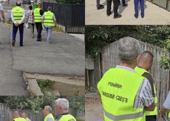Primăria Găești, acțiune amplă pentru identificarea câinilor cu și fără stăpân. Sterilizarea, vaccinarea și microciparea sunt gratuite