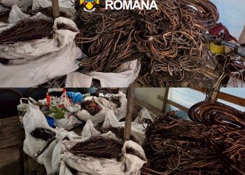 Descinderi de amploare în Dâmbovița: 9 percheziții într-un dosar de furturi de cabluri din parcuri fotovoltaice