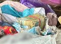 191.500 de lei, găsiți îngropați în curtea unei locuințe, într-un dosar de camătă din Dâmbovița