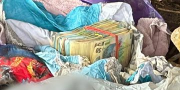 191.500 de lei, găsiți îngropați în curtea unei locuințe, într-un dosar de camătă din Dâmbovița