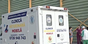 Campanie gratuită de sterilizare la Titu: un pas important pentru gestionarea responsabilă a animalelor