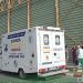 Campanie gratuită de sterilizare la Titu: un pas important pentru gestionarea responsabilă a animalelor