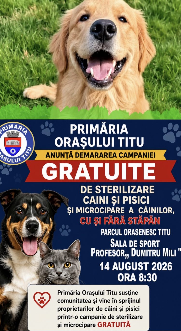 Câinii fără stăpân, o problemă reală pentru Titu. Primăria începe cu prevenția: recensământ, sterilizare și microcipare